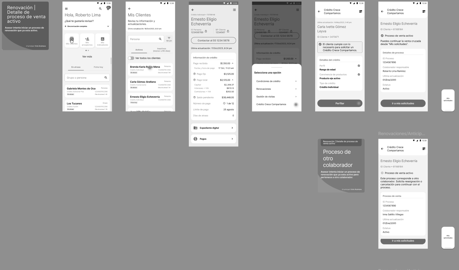 Sales and renewal process flow